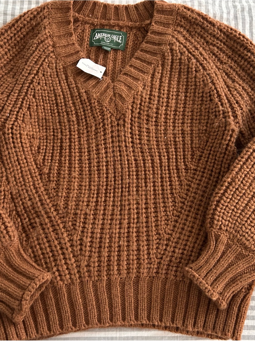 American Eagle Outfitters Women's Chunky V-Neck Sweater in Rust